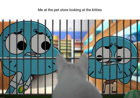 gumball y darwin personajes|darwin gumball meme.